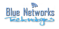 logo BLUE NETWORKS TECHNOLOGIES